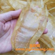 怀孕期能吃鱼胶吗(怀孕鱼胶可以吃吗)