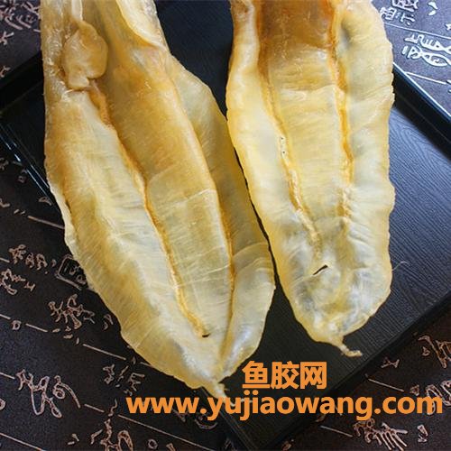 鳘鱼胶的食用方法(鱼胶的食用方法和功效干的)
