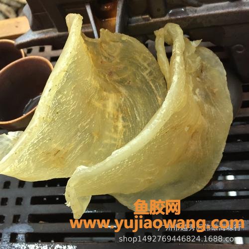 鳘鱼胶的功效及吃法(北海鳘鱼胶的功效及吃法)