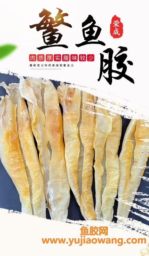 鳘鱼胶是什么鱼的鱼胶(鳖鱼胶是什么鱼胶)