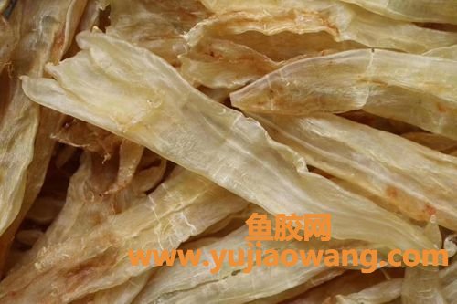 鳘鱼胶和黄花胶哪个好(赤鱼胶和黄花胶哪个好)