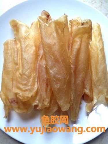 鱼胶补胃吗(鱼胶和什么一起炖对胃好)