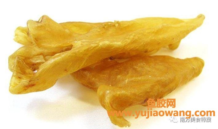 鱼胶的功效(鱼胶的功效及吃法鱼胶的做法) 鱼胶的功效(鱼胶的功效及吃法鱼胶的做法)