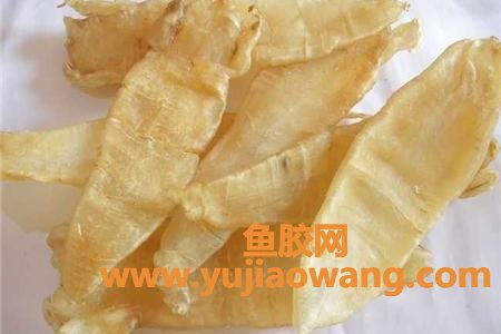 鱼胶怎么炖不腥好吃(鱼胶怎么炖最好) 鱼胶怎么炖不腥好吃(鱼胶怎么炖最好)