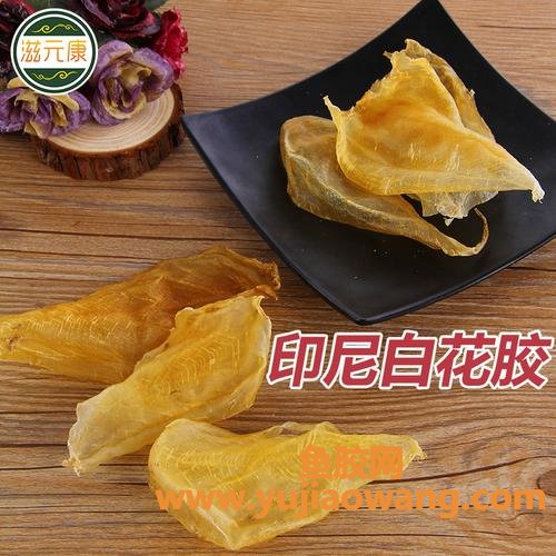 鱼胶怎么吃鱼胶的功效与作用(鱼胶的功效及吃法鱼胶的做法)