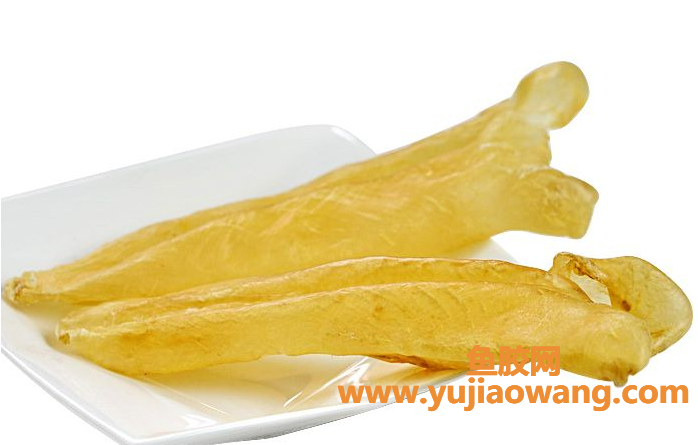 鱼胶怎么吃比较好(鱼胶怎么吃效果最好) 鱼胶怎么吃比较好(鱼胶怎么吃效果最好)