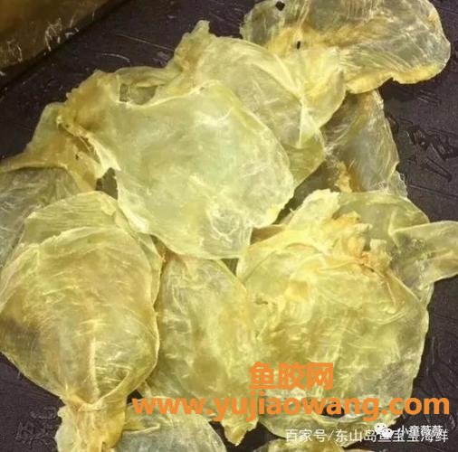 鱼胶主要成分(鱼胶主要成分是什么) 鱼胶主要成分(鱼胶主要成分是什么)