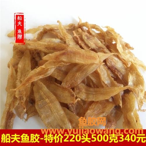 金龙鱼胶的价格是多少(最好的金龙鱼价格是多少钱) 金龙鱼胶的价格是多少(最好的金龙鱼价格是多少钱)