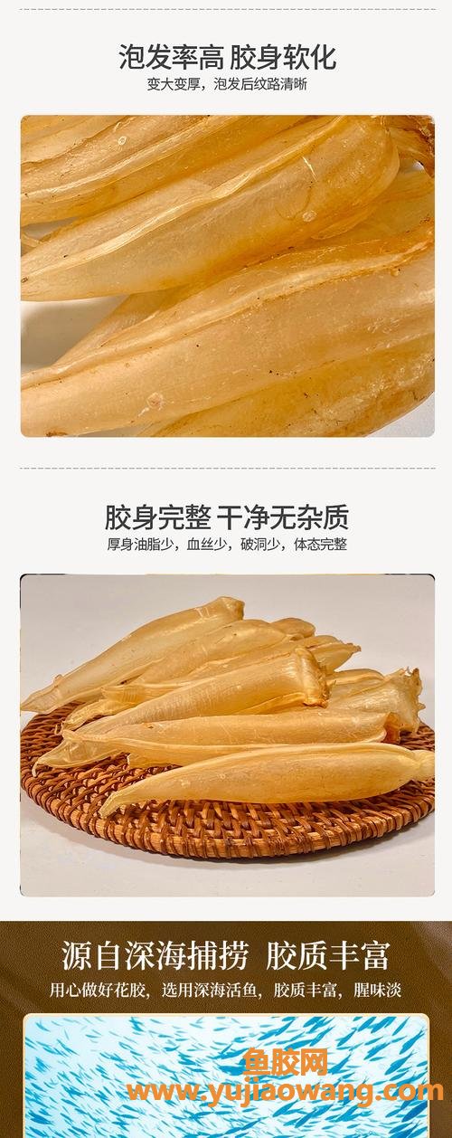 金龙鱼胶和鳕鱼胶哪种好 金龙鱼胶和鳕鱼胶哪种好