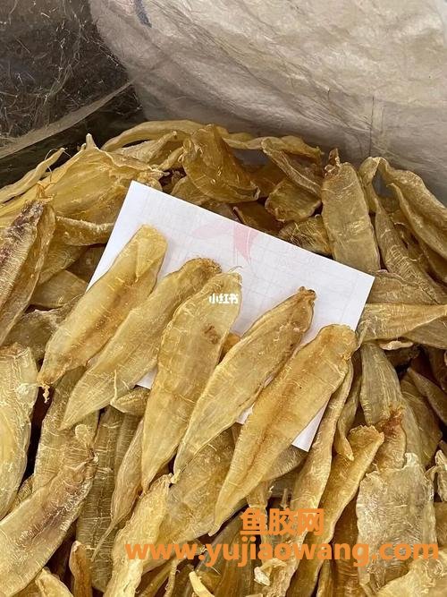 金龙鱼胶功效和作用(金龙鱼胶筒的功效和作用) 金龙鱼胶功效和作用(金龙鱼胶筒的功效和作用)