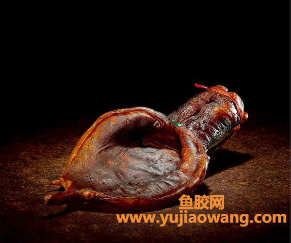 金钱鳘鱼胶图片(墨西哥金钱鳘鱼胶价格)