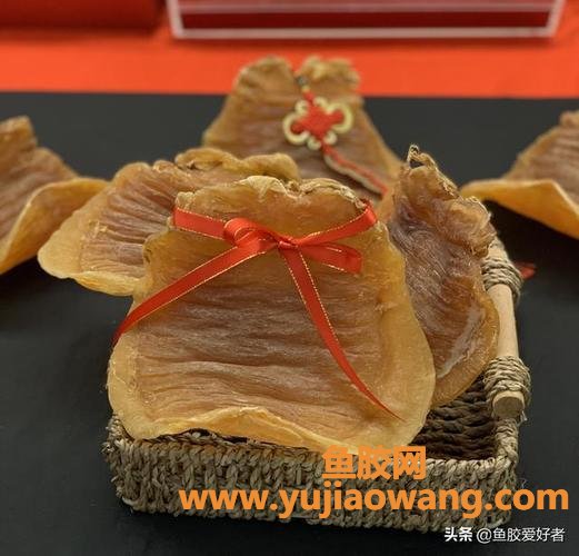金钱鳘鱼胶图片(墨西哥金钱鳘鱼胶价格)