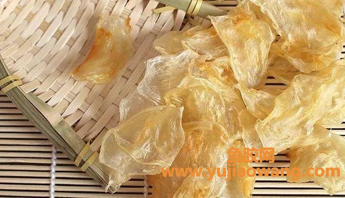 鱼胶的正确使用方法