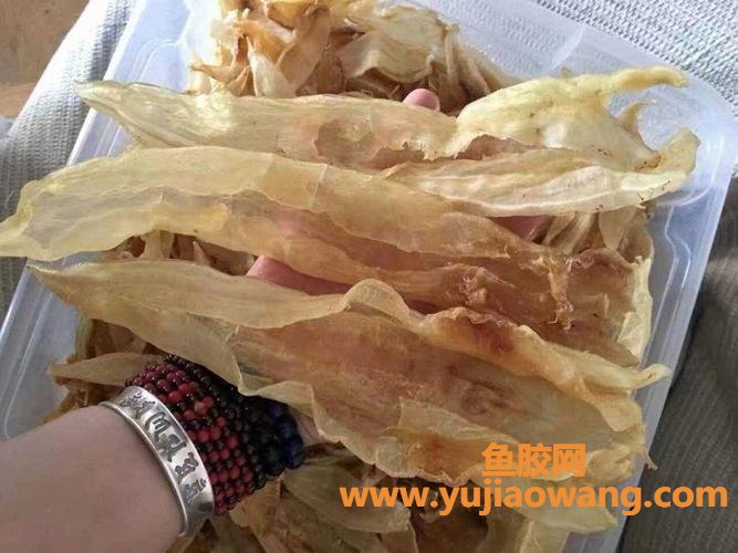 鱼胶的及吃法(鱼胶的功效及吃法)
