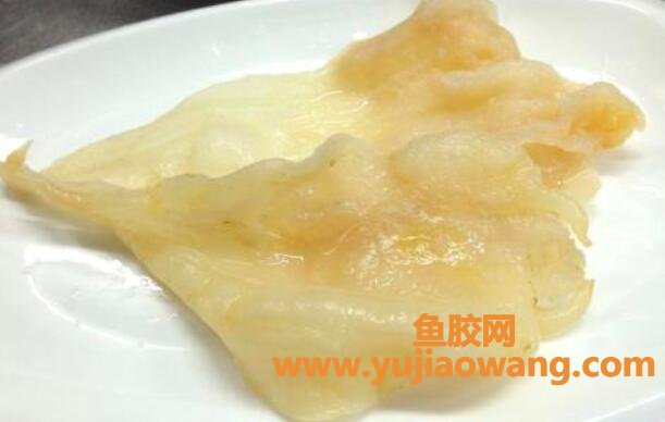 鱼胶怎么吃(鱼胶怎么吃鱼胶的功效与作用)