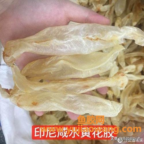 花胶的功效与作用及食用方法这样吃最好(新西兰花胶的功效与作用及食