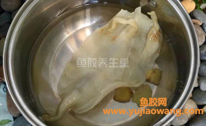 花胶泡发率是多少倍
