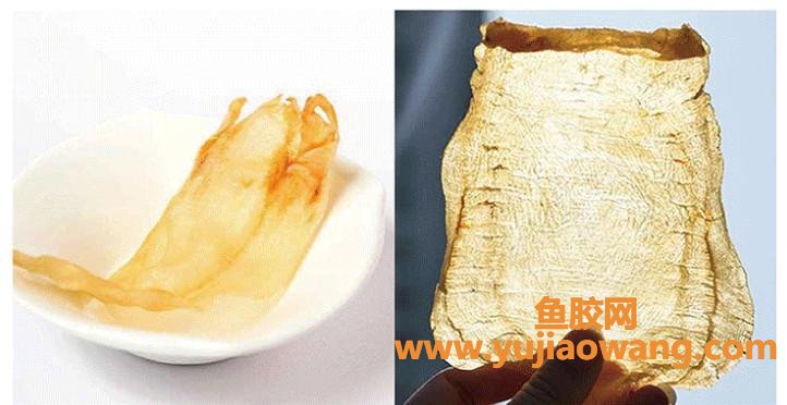 花胶每天都吃吗(燕窝花胶可以每天吃吗)