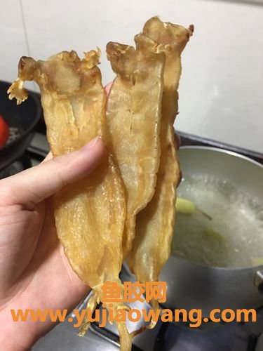 花胶正确泡发(怎样泡花胶才是正确的)