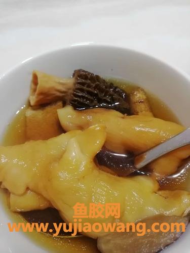 花胶是啥东西(花胶是什么食材)