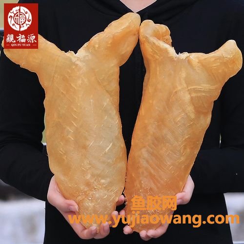花胶是啥(花胶是啥)
