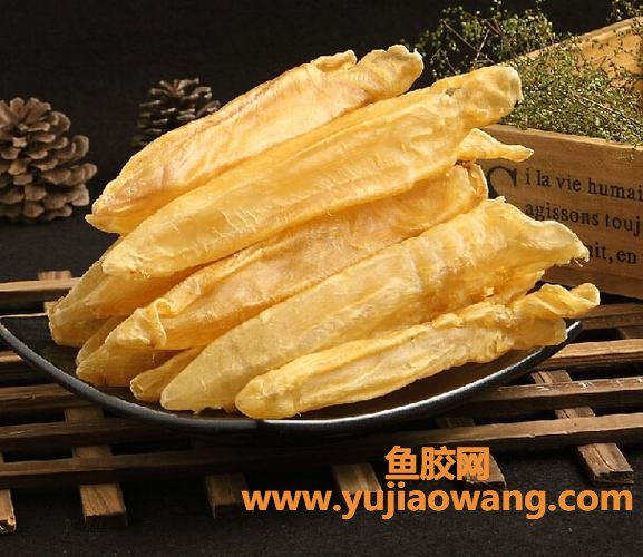 花胶是什么东西的产物(即食花胶是什么东西)