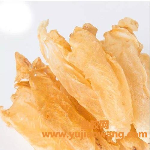 花胶是什么东西(花胶是什么食材)