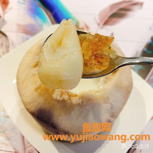 花胶怎样做甜品(花胶炖甜品怎么做窍门) 花胶怎样做甜品(花胶炖甜品怎么做窍门)