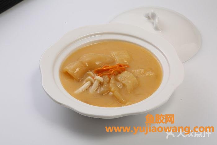 花胶怎么煮比较好(如何炖花胶最好)