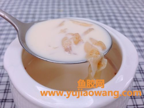 牛奶花胶怎么做(牛奶花胶做法)