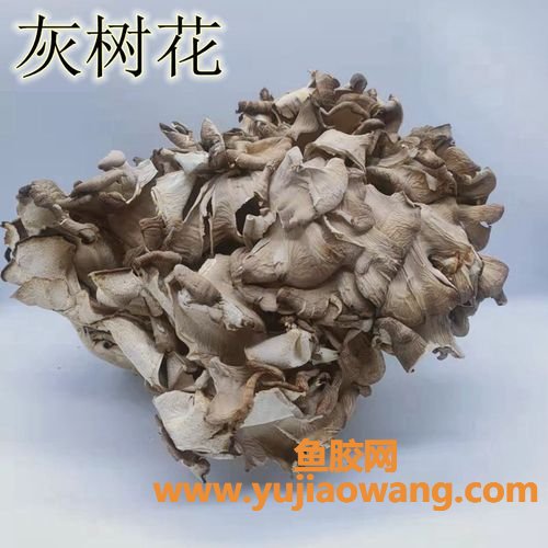 灰树花的药用功效(灰树花的功效与作用及食用方法)