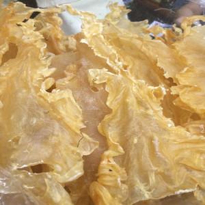 深海花胶是什么东西怎么吃(深海花胶是什么鱼)