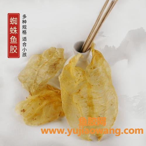 深海花胶功效(深海鱼胶的功效与作用及食用方法)