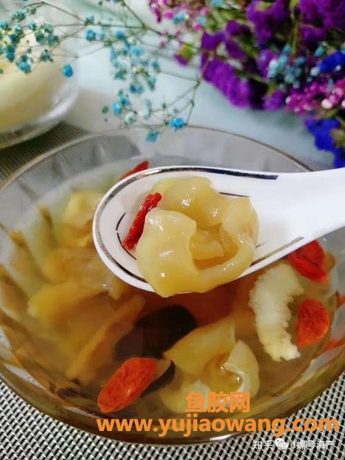 植物花胶是什么东西(花胶公是什么东西)