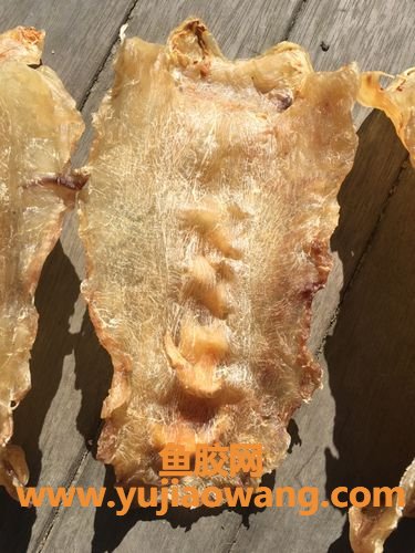 新西兰花胶怎么吃法(新西兰花胶骗局)