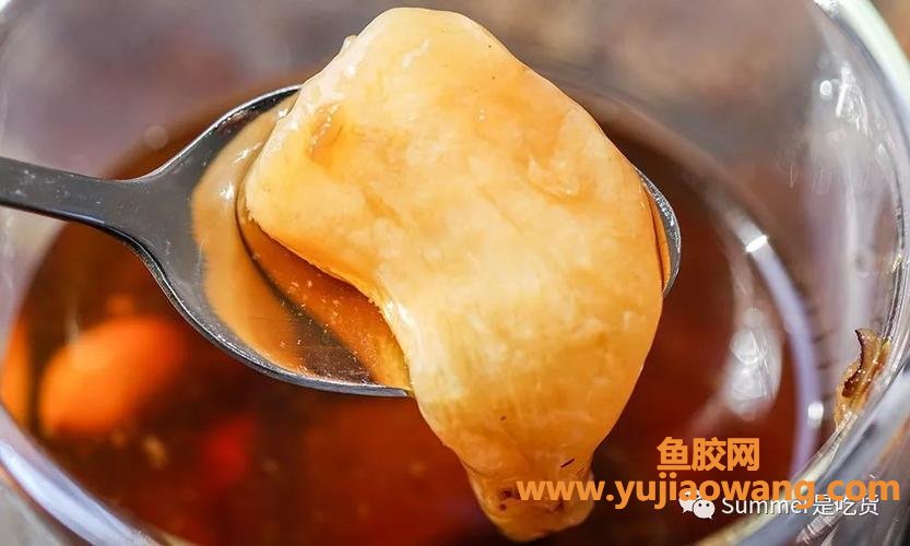 孕妇花胶怎么炖最好(孕妇可以吃花胶炖牛奶吗)