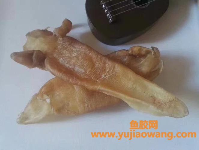 即食花胶的功效与作用禁忌(花胶糕的功效与作用禁忌)