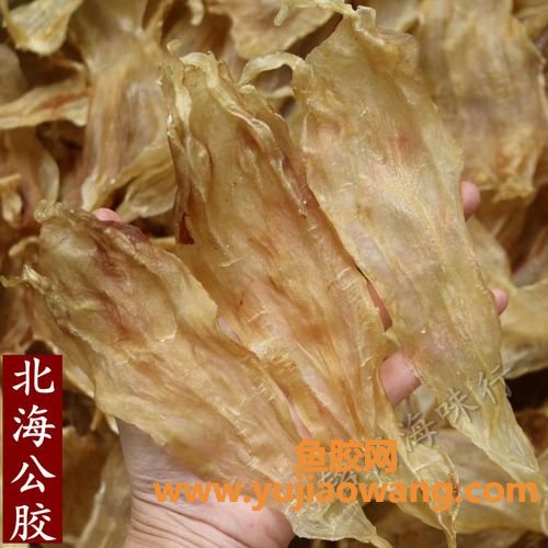 即食花胶一般用什么花胶(即食花胶有什么好处)