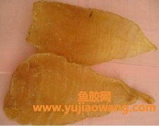 花胶的功效和作用(官栈花胶的功效与作用)