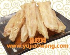 花胶的功效及食用方法(花胶的功效与作用及食用方法这样吃最好