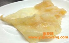 鱼胶怎么吃(鱼胶怎么吃鱼胶的功效与作用)