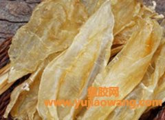 花胶的功效与作用(花胶的功效与作用点)