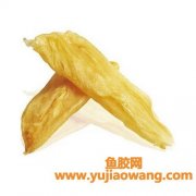 花胶的作用和功能(花胶的功效)