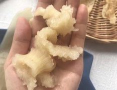 花胶泡发的正确方法图片(花胶的泡发方法时间)