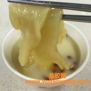 花胶泡发的正确方法(花胶的正确泡发与炖方法)