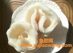 花胶泡发的正确方法(花胶快速泡发方法)