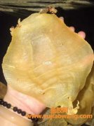 花胶对子宫的作用(鱼胶对女性子宫的功效)