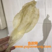 花胶和鱼胶的区别在哪里(花胶跟鱼胶有什么区别百度百科)