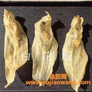 花胶功效与作用及营养价值(花胶鸡营养价值和功效作用)