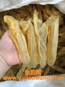 花胶一次食用多少克(花胶一次泡多少)